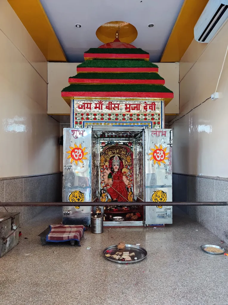 Bees Bhuja Devi Temple Bajrangarh Guna